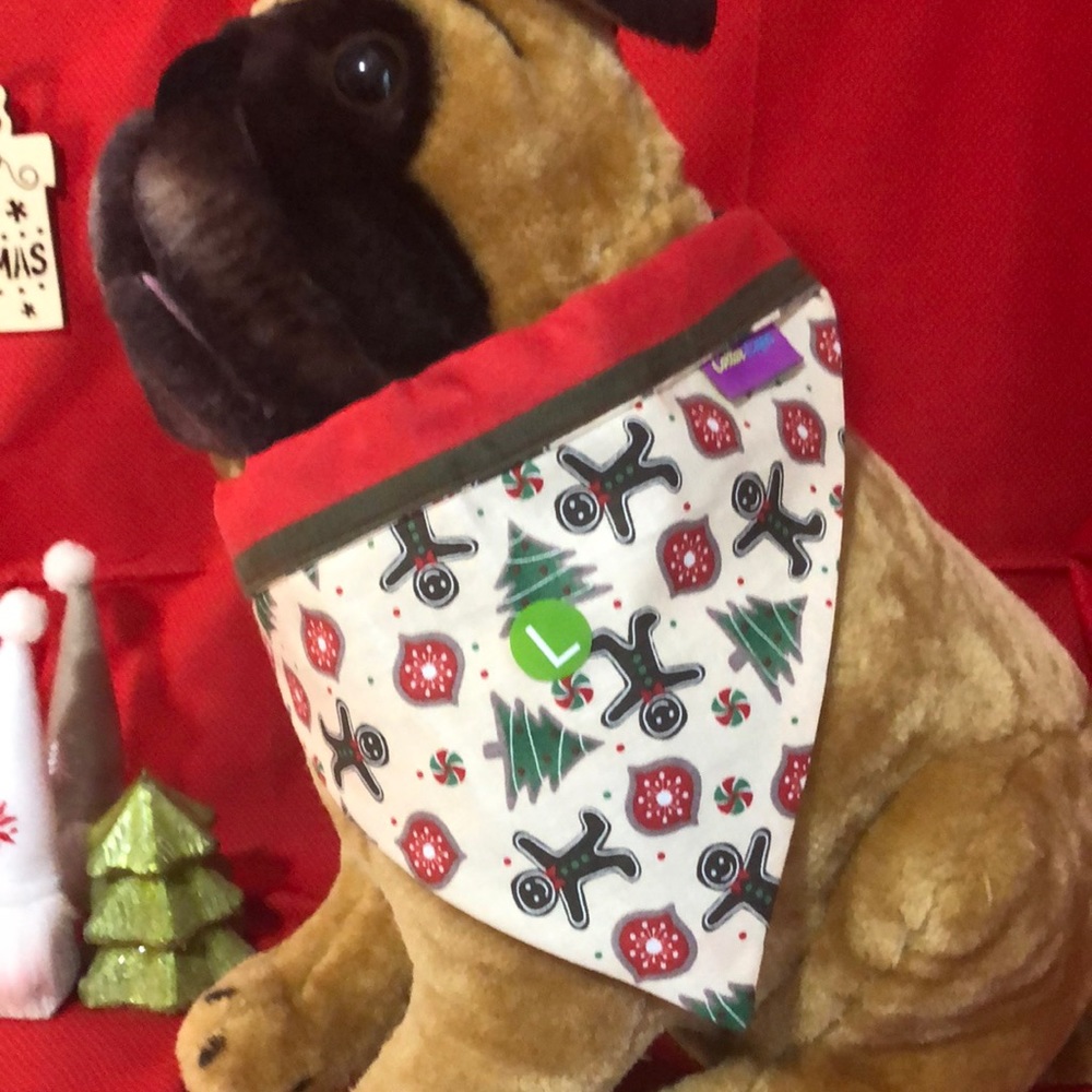 Homemade Pet Bandanna